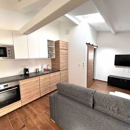 Апартаменти Carina- 2-4 Pers- Standing Hyper Centre Climatise